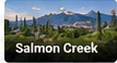 Salmon Creek